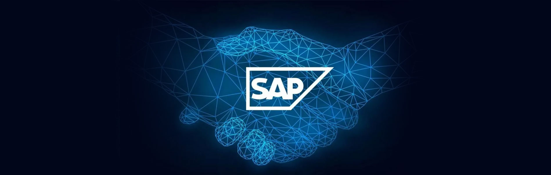 Solutions SAP pour entreprises - Intégration ERP et analyse de données